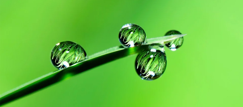 organic skin care products